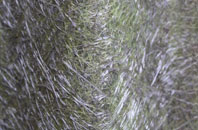 Kimble Wick fibreglass roof work